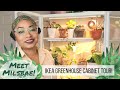 Meet Milsbae! An IKEA MILSBO Cabinet Greenhouse Tour