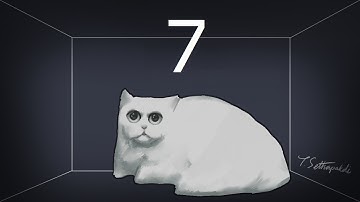 The CHSH Game: Lecture 7 of Quantum Computation at CMU