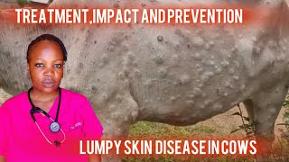 Vet explains //Lumpy skin disease in cows//Signs,Treatment and prevention //South Africa