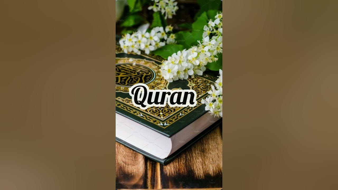 which-religious-book-is-scientifically-proven-shorts-allah-facts