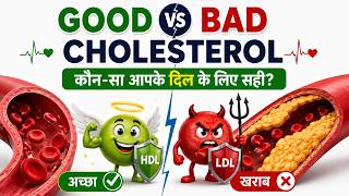 High Cholesterol का पूरा सच! HDL, LDL और Triglycerides क्या होते हैं ? I Only My Health
