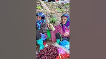 chợ phiên vùng cao tây bắc  #chợphiênvùngcao #shortvideo #sortvideos #shortsvideo