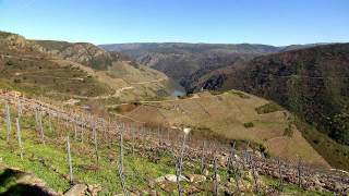 DGPM 1067 - 10: El mirador del Sil
