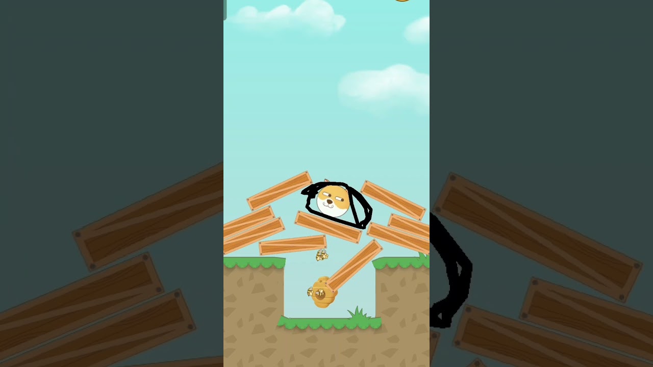 Dogesh vai day by da📈🐶🦴