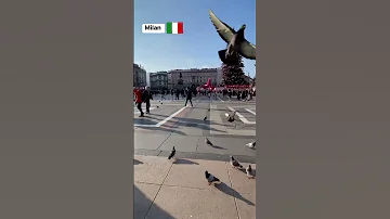 يا ظروف ولا راني في الغربه ميلانو الغربة المغرب الجزائر تونس ايطاليا راى ترند حراقة 2023 