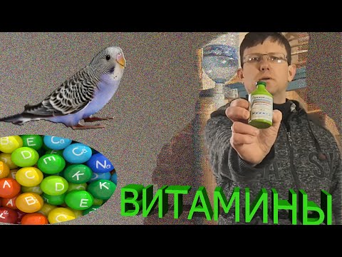 Витамины для птиц.