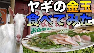 ヤギの金玉を食べてみた。【高級食材】