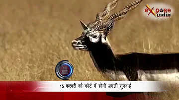 जोधपुर कोर्ट में पेश हुए 'हम साथ साथ हैं' के सितारे