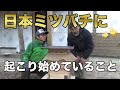 蜂の巣箱作りは大切です！