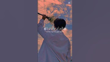 سورة الاعلى القرآن الكريم #اكسبلور #المصحف #لايك #راحة_نفسية