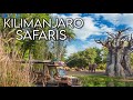 LIVE Kilimanjaro Safari