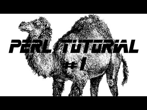 Perl Video Tutorial #1
