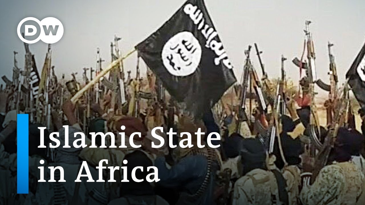 Over 70 killed in Niger militant attack | DW News