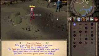 RSPS - Zach-Scape 317 eco - PK Server