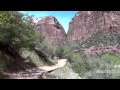 Hike to Lower Emerald Pool, ZION NP by Scott Fitzgerald