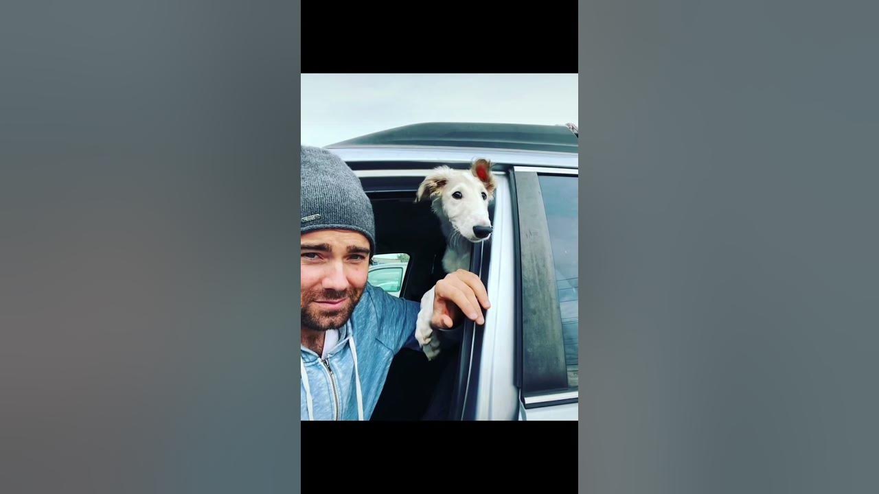 BABY HOSE GOAT?! dogs dog russianwolfhound borzoipuppy borzoi 