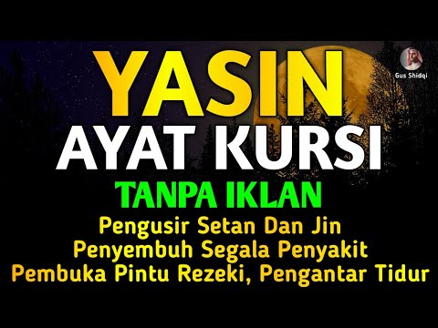 Qizning eng yaxshi mushuki Qizning eng yaxshi mushuki