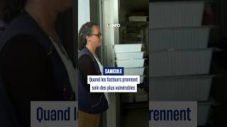 Heatwave: when mail carriers look after the most vulnerable