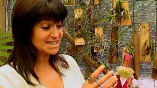 Emprendedoras Nota a: FATIMA AVELLANEDA Perfume Arapoty parte1