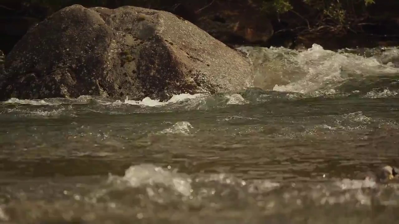 Merlyn Driver - The Descent (Official Music Video) - YouTube