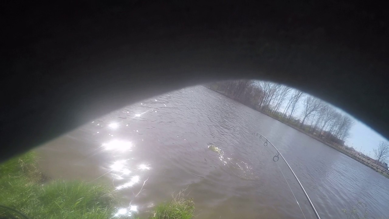 Ohio Carp fishing YouTube