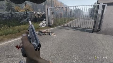 Dayz I server multi kill