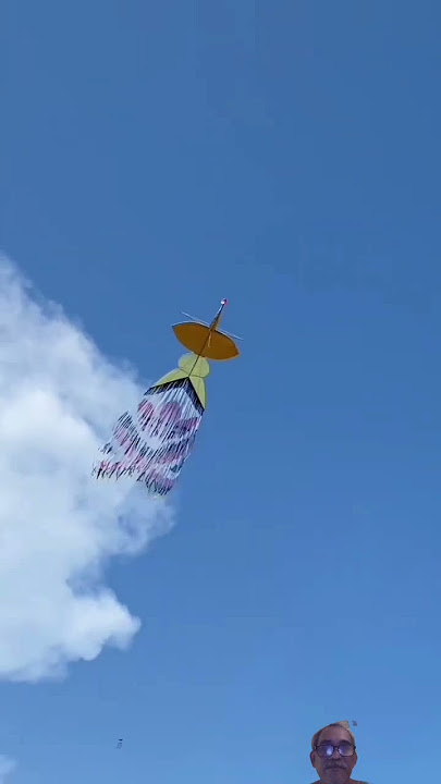 Layangan lake #kite #layang #kiteflying #layangan #karnaval #layanglayang #drone #kites