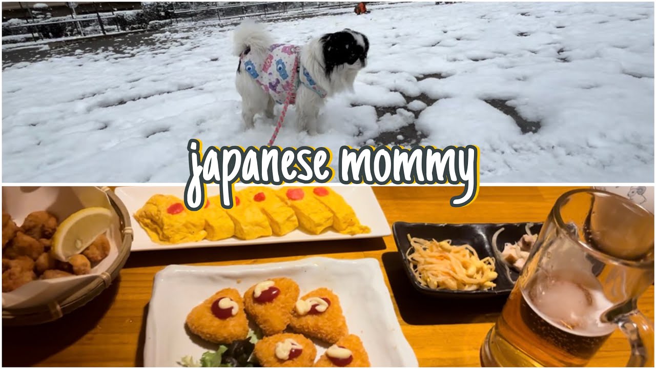 В Токио выпал снег. Ежедневный видеоблог домохозяйки.