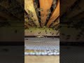 Blick unter eine Magazinbeute (Bienenstock) auf das Flugloch von hinten