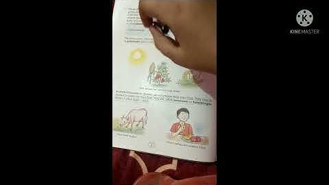 D A V Public School Class 6 Science Chapter 1 Our Environment Part 1