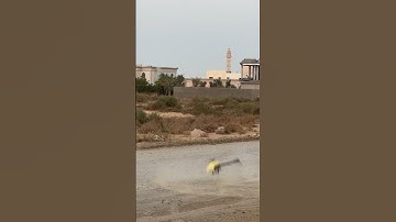 Oops but it doesn’t crashed !!! OMP M4 rc helicopter #helicopter