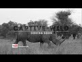 Captive-Wild (Trailer)