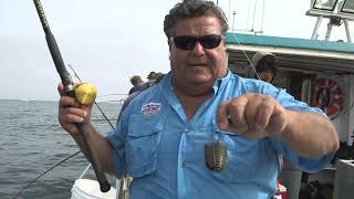 видео: Рыба-камень и лингкод на «Морском волке» картинка: Рыба-камень и лингкод на «Морском волке»