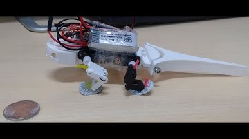 Robotic lizard