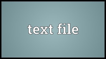 Text file Meaning