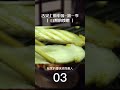 野生菌中的贵族：松茸！都是菌子 为啥松茸不一般？| China Zone - 纪录片