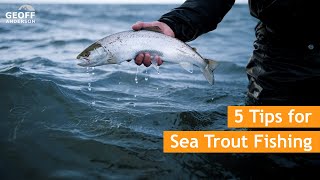 5 Tips for Sea Trout Fishing with a Bombarda Float and a Fly