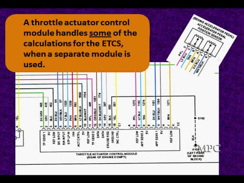 16 Electronic Throttle Control (ETC) Components - YouTube