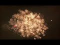 November 5th 2021 Firework night￼