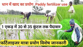 धान से ज्यादा उपज किस खाद का प्रयोग कितनी मात्रा और कैसे करें Which fertiliser should use in paddy c