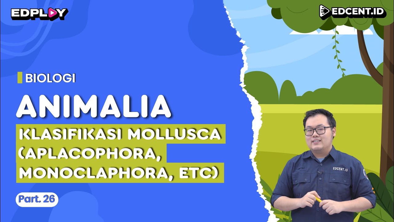 Materi Biologi: Kingdom Animalia | Klasifikasi Mollusca (Aplacophora, Monoclaphora, etc) | Part 26