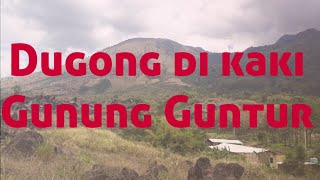 DUGONG vs Anjing di PLP |  Kaki Gunung  Guntur