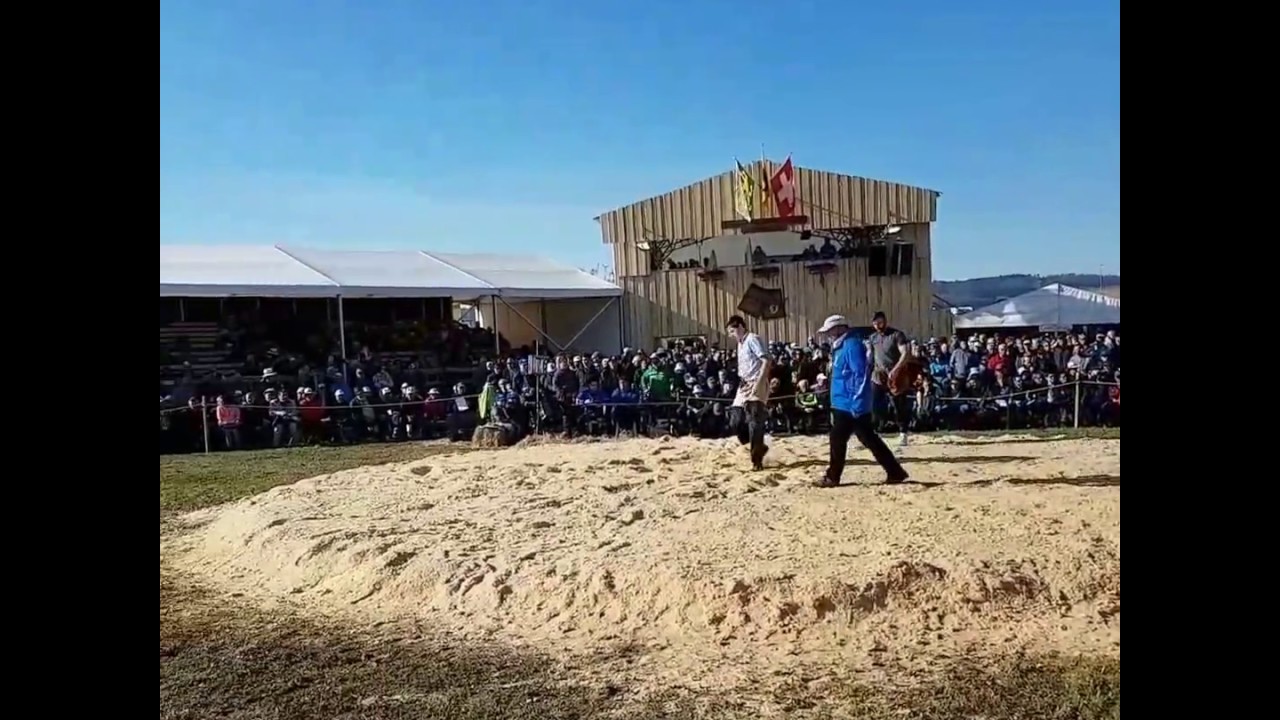 Thurgauer Kantonales Schwingfest 2017 - Rundblick aus der Arena