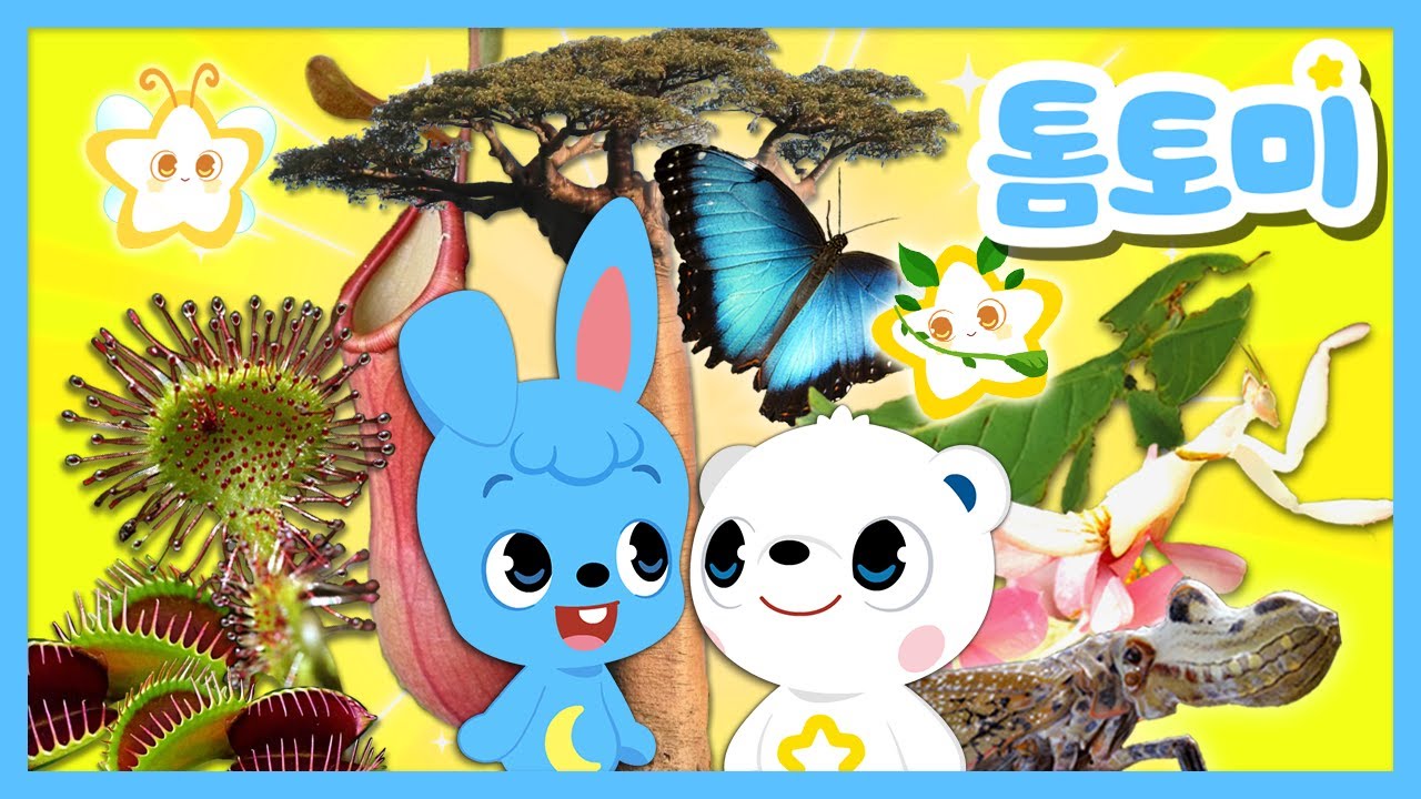 [🌟톰토미의 별별별] 특이한 식물별 & 곤충별 모아보기 | 어떤 곤충과 식물을 만나볼까? | 특이한 시리즈 | 어린이 교육 | 곤충 & 식물 알아보기 #톰토미