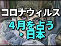 タロット占い　－コロナウィルス/4月はどうなるか・日本－