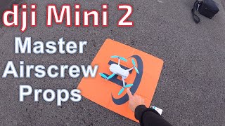 DJI Mini 2 and the Master Airscrew Stealth Props