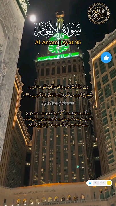 Surah Al-An'am Ayat 95 #short #shorts #shortvideo #shortsfeed