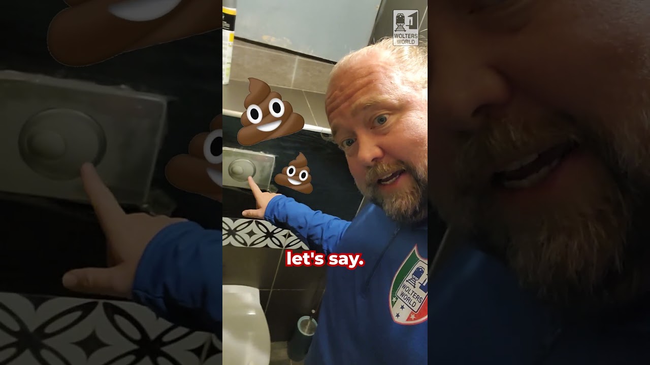 What do the different buttons do on European toilets? 