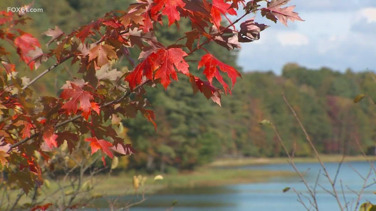 Could Connecticut's ongoing drought have an impact on fall foliage ...