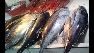 PUBLIC MARKET IN TULAY (BRIDGE) PILIPOG CORDOVA #fish #wetmarkets #wetmarket #market #publicmarket